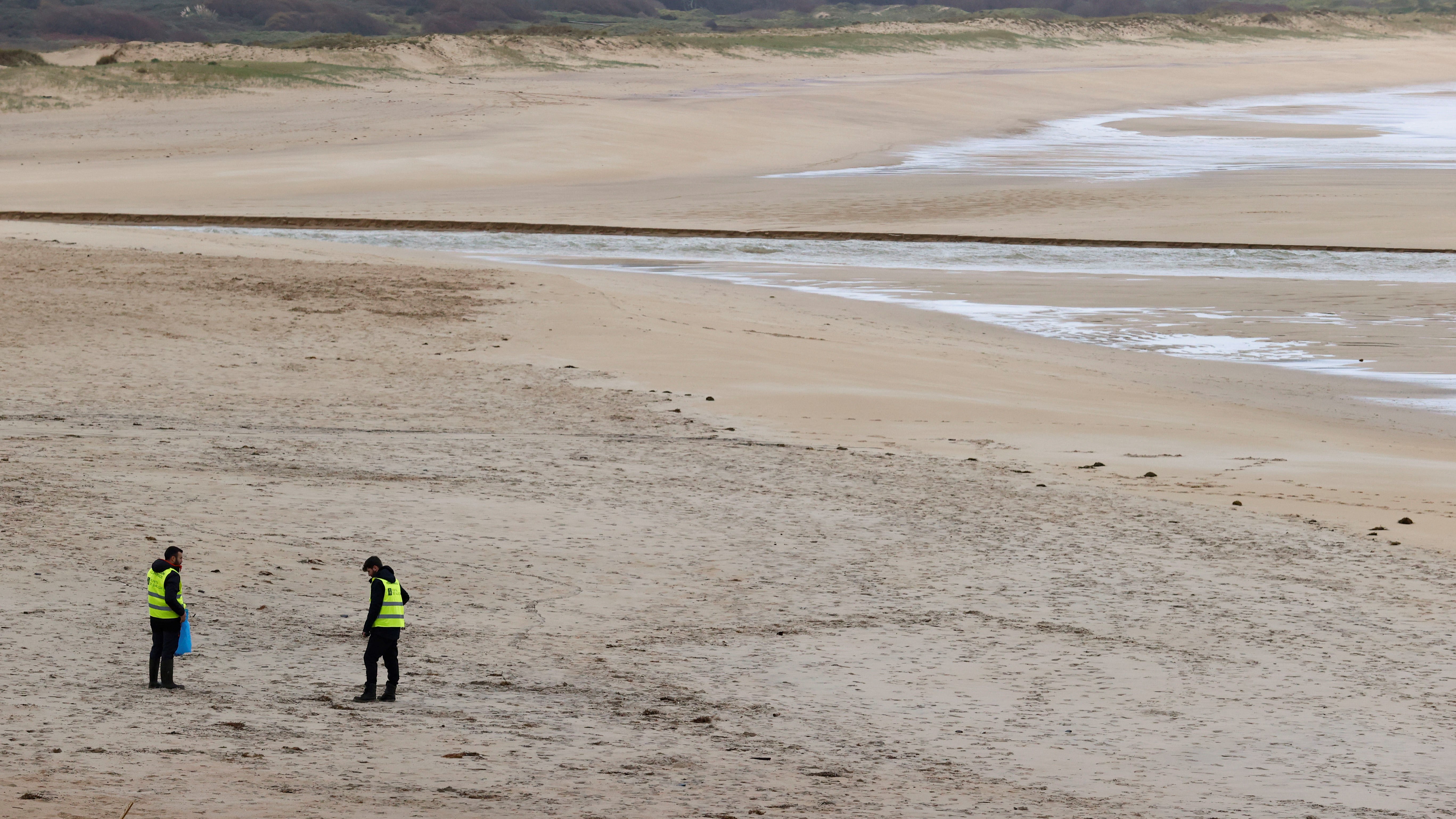 Voluntariado na praia da Frouxeira, en Valdoviño. EFE/Kiko Delgado