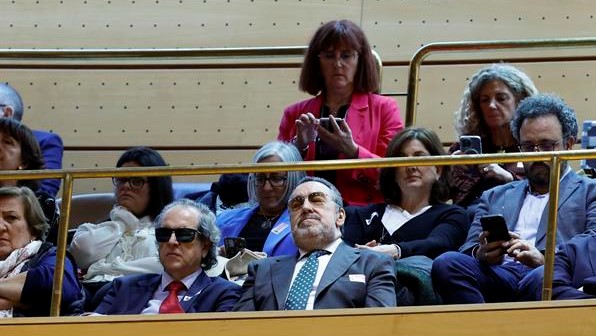 Representantes de organizacións de persoas discapacitadas asisten dende a tribuna de invitados á sesión do pleno do Senado (EFE/ Zipi)