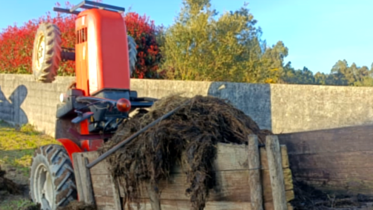 O tractor quedou totalmente levantado e perpendicular ao remolque