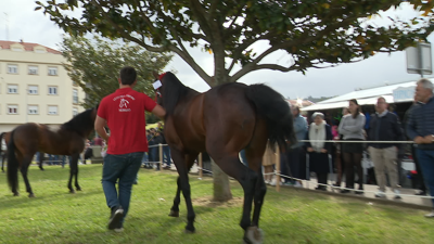 Imaxe deste xoves pola maña no transcurso da feira anual cabalar celebrada en Noia