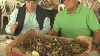 Degustación do percebe do Roncudo este sábado na súa xa clásica festa do produto