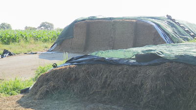 Imaxe deste mércores de dous dos silos de Xunqueira, en Mazaricos, esgazados na noite do domingo