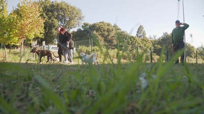 O parque canino da Estrada nunha imaxe deste martes pola mañá