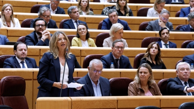 Alicia García, senadora do Partido Popular, intervén no plano (EFE/Javier Lizón)