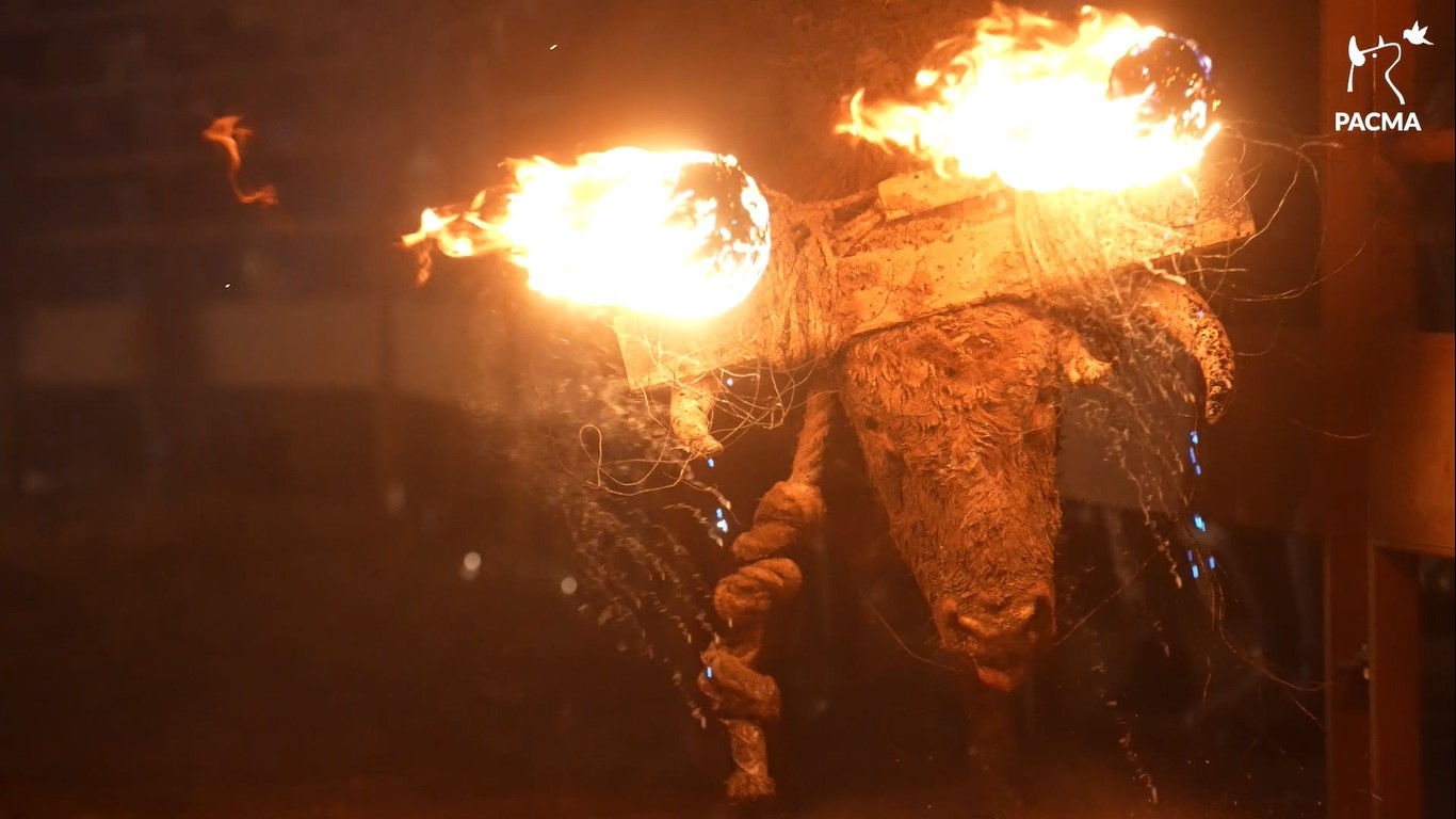 Imaxe de arquivo do último Toro Jubilo de Medinaceli. PACMA.