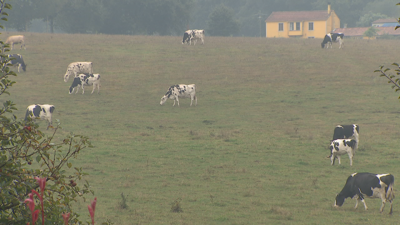 O sindicato Unións Agrarias denuncia que en Galicia hai 600.000 ha improdutivas mentres se importan  4.5 millóns de toneladas de forraxes