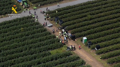 Explotación agrícola ao oeste de Lugo (Garda Civil)